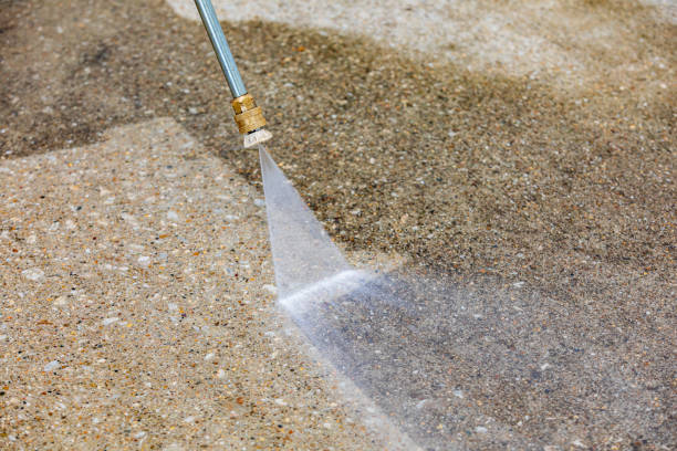 Best Roof Washing  in Dinuba, CA